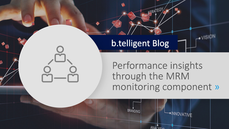 Widget_Blog_EN_Performance-Insights-durch-die-MRM-Monitoring-Komponente (1)